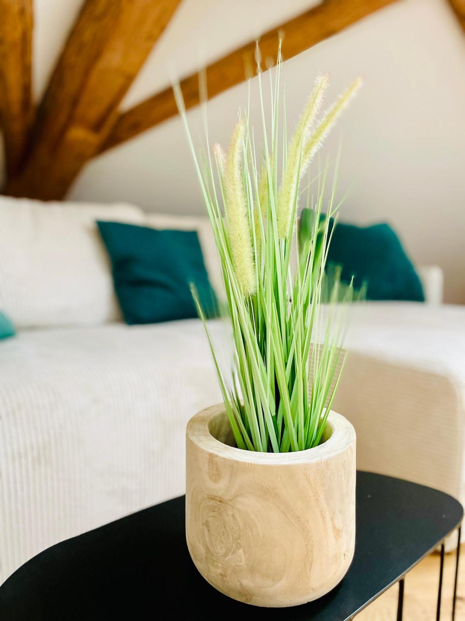 Appartement Villa Seeliebe Tägerwilen Eksteriør billede