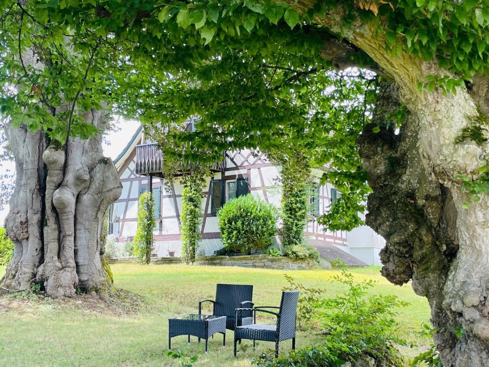 Appartement Villa Seeliebe Tägerwilen Eksteriør billede